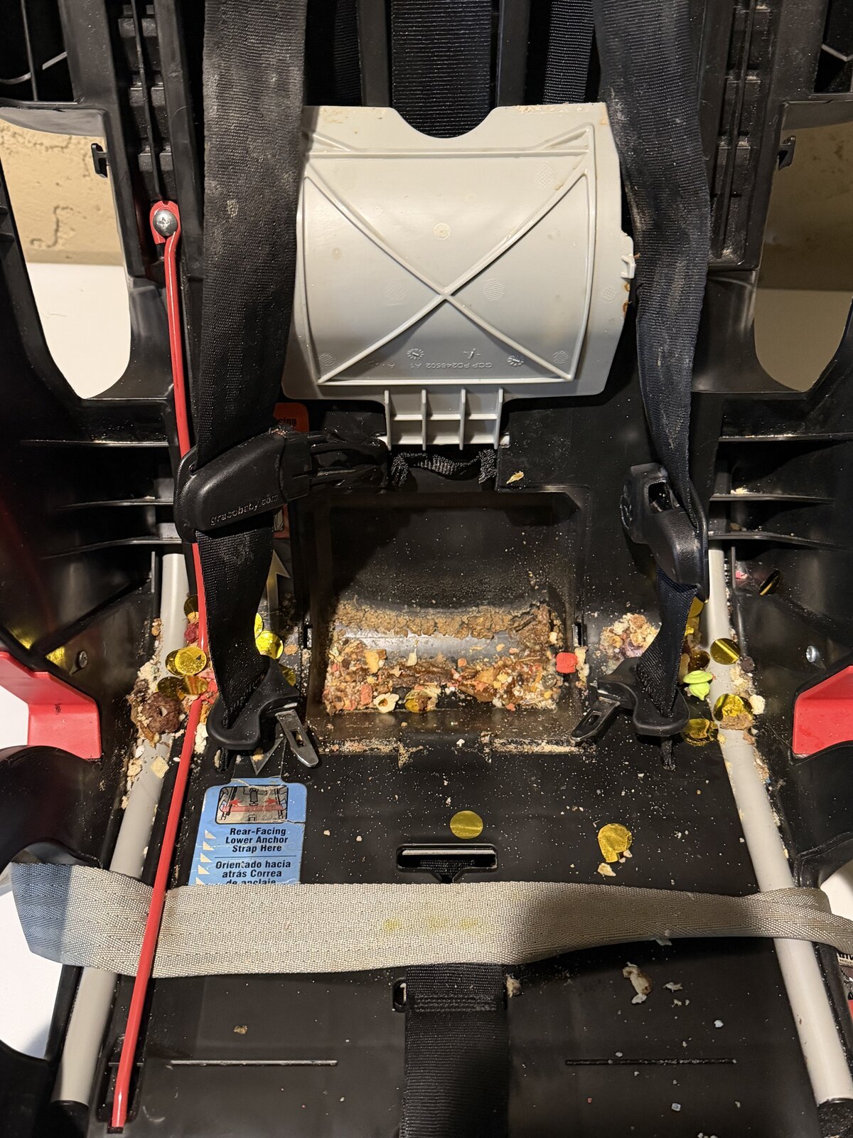 Stroller before deep cleaning by Suds and Seats Co